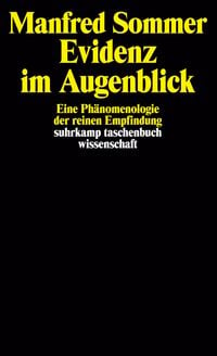 Produktbild: Evidenz im Augenblick