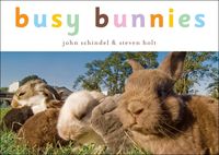Produktbild: Busy Bunnies-Board