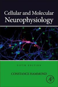 Produktbild: Cellular and Molecular Neurophysiology