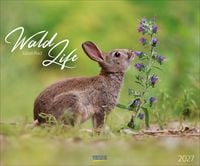 Produktbild WaldLife 2027