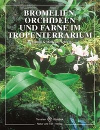 Produktbild: Bromelien, Orchideen und Farne im Tropenterrarium