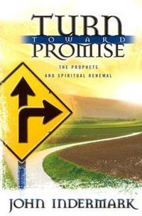 Produktbild: Turn Toward Promise: The Prophets and Spiritual Renewal