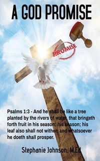 Produktbild: A God Promise