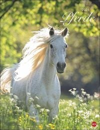 Bild vom Artikel Pferde Classics Posterkalender 2024 vom Autor Sabine Stuewer