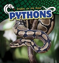 Produktbild: Pythons