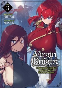Produktbild: Virgin Knight: I Became the Frontier Lord in a World Ruled by Women (Light Novel) Vol. 3