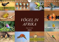 Bild vom Artikel Vögel in Afrika - Magie der Farben (Wandkalender 2023 DIN A4 quer) vom Autor Michael Herzog