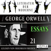Produktbild: Essays 21