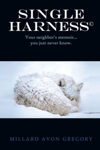 Produktbild: Title Single Harness(c)