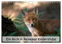Produktbild: Ein Blick in Reinekes Kinderstube (Wandkalender 2027 DIN A4 quer), CALVENDO Monatskalender