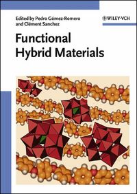 Produktbild: Functional Hybrid Materials