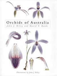 Produktbild: Riley, J: Orchids of Australia