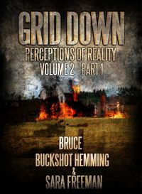 Produktbild: Grid Down Perceptions Of Reality (Part 1, #2)