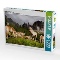 Produktbild: CALVENDO Puzzle Junge Haflingerherde | 1000 Teile Lege-Gr&ouml;&szlig;e 64x48cm Foto-Puzzle f&uuml;r gl&uuml;ckliche Stunden