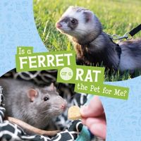 Produktbild: Is a Ferret or a Rat the Pet for Me?