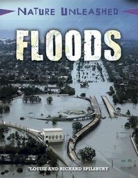 Produktbild: Spilsbury, L: Nature Unleashed: Floods