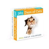 Produktbild: 365 Days of Cats 2014 Daily Calendar
