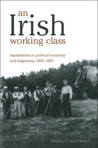 Produktbild: An Irish Working Class