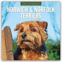 Produktbild: Norwich Terrier und Norfolk Terrier 2027 &ndash; 16-Monatskalender