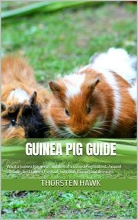 Produktbild: Guinea Pig Guide