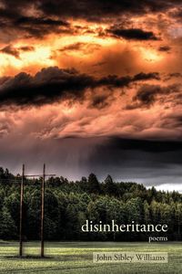 Produktbild: Disinheritance