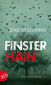 Produktbild: Finsterhain / Kommissar Seeberg Band 2