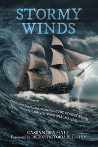 Produktbild: Stormy Winds