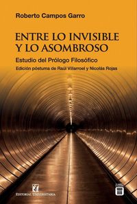 Produktbild: Entre lo invisible y lo asombroso