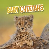 Produktbild: Baby Cheetahs