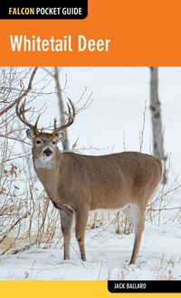 Produktbild: Whitetail Deer