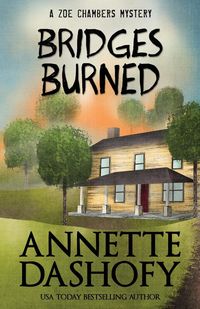 Produktbild: Bridges Burned