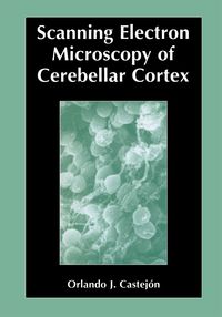Produktbild: Scanning Electron Microscopy of Cerebellar Cortex