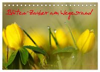 Produktbild: Bl&uuml;ten-Zauber am Wegesrand 2027 (Tischkalender 2027 DIN A5 quer), CALVENDO Monatskalender