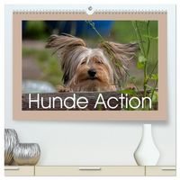 Produktbild: Hunde Action (hochwertiger Premium Wandkalender 2026 DIN A2 quer), Kunstdruck in Hochglanz