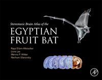 Produktbild: Eilam-Altstadter, R: Stereotaxic Brain Atlas of the Egyptian