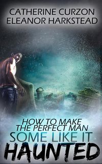 Produktbild: How to Make the Perfect Man