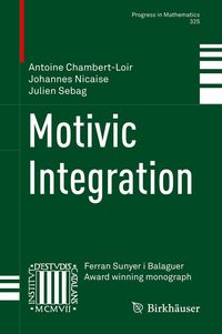 Produktbild: Motivic Integration