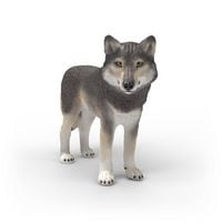 Produktbild: schleich&reg; 14991 Amerikanischer Wolf