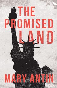 Produktbild: The Promised Land