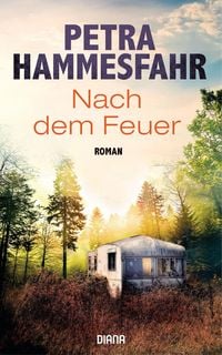 Produktbild: Nach dem Feuer