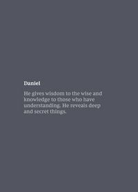Produktbild: NKJV Bible Journal - Daniel, Paperback, Comfort Print | Softcover | Gray