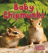 Produktbild: Baby Chipmunks