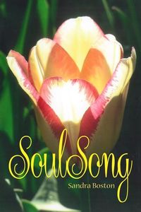 Produktbild: Soul Song