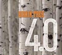 Bild vom Artikel Birkin Tree: 4.0 vom Autor Birkin Tree