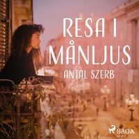 Produktbild: Resa i m&aring;nljus