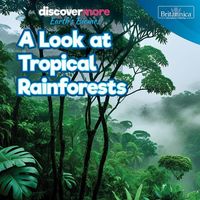 Produktbild: A Look at Tropical Rainforests