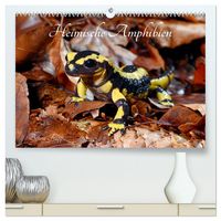 Produktbild: Heimische Amphibien (hochwertiger Premium Wandkalender 2026 DIN A2 quer), Kunstdruck in Hochglanz