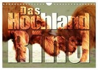 Produktbild: Das Hochlandrind (Wandkalender 2026 DIN A4 quer), CALVENDO Monatskalender