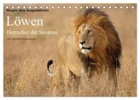 Produktbild: Magie des Augenblicks - L&ouml;wen - Herrscher der Savanne (Tischkalender 2027 DIN A5 quer), CALVENDO Monatskalender