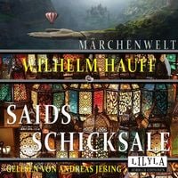 Produktbild: Saids Schicksale